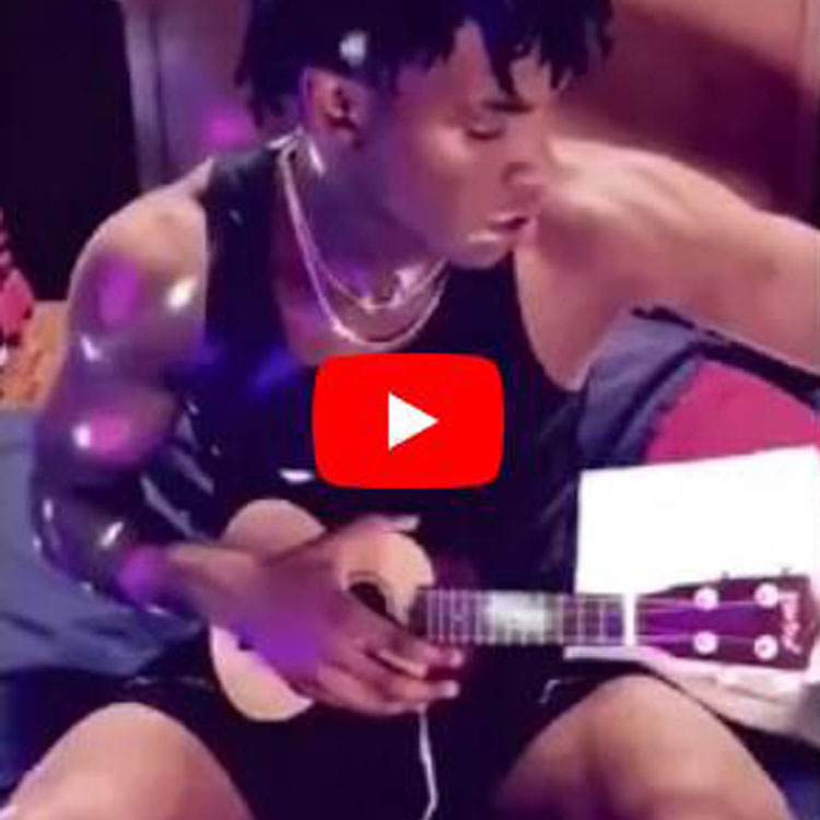 Introdução ao Ukulele Everjoys