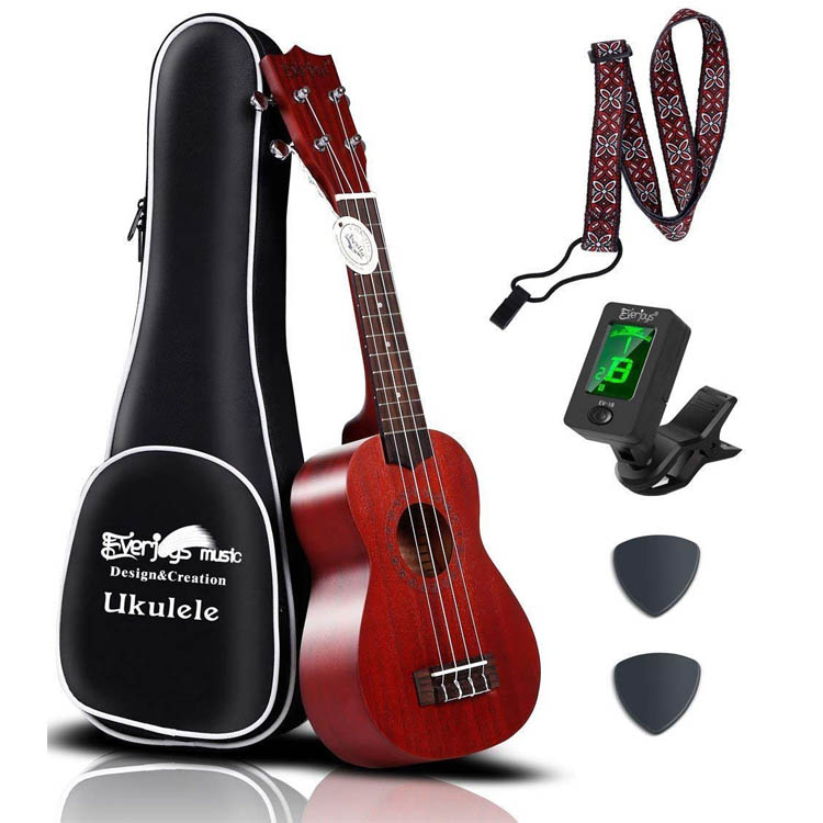 Mahogany Soprano Ukulele Kit - Professional 21 inch w / Case Strap Tuner Aquila Strings EVUKP01